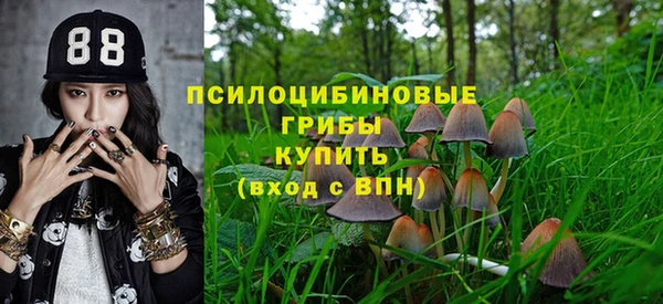 твердый Алексеевка