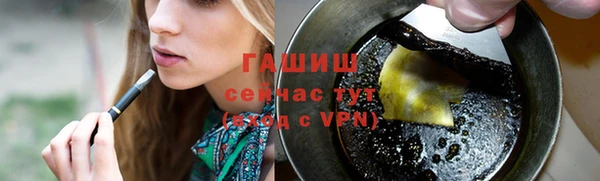 гидра Покачи