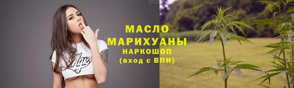 гидра Покачи