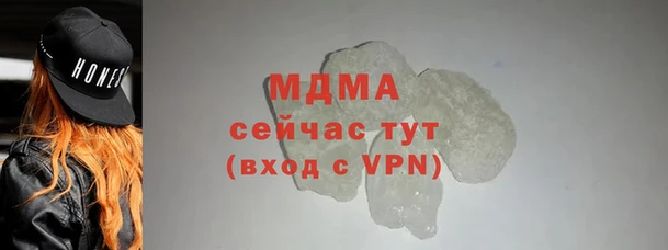 гидра Покачи