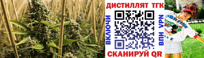 ТГК вейп с тгк  МЕГА ссылка  Ардон 